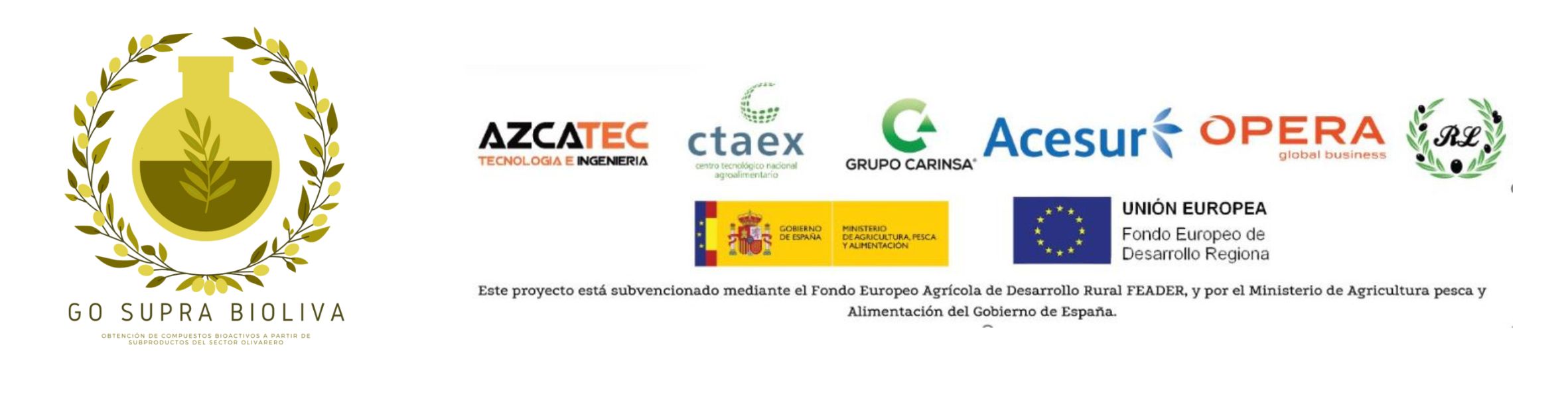 Imagen: BIOLIVA Proyecto innovador &quot;Obtención de compuestos bioactivos a partir de subproductos del sector del olivar&quot;