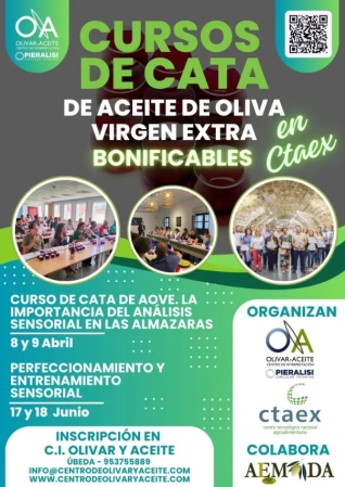 CURSOS DE CATA  DE ACEITE DE OLIVA VIRGEN EXTRA