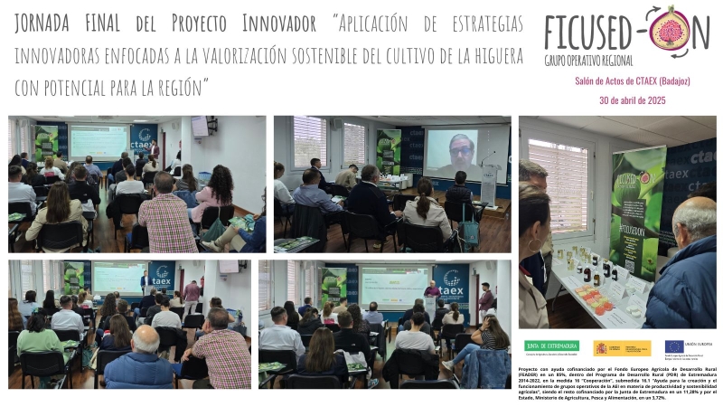 CTAEX acoge la jornada final del Grupo Operativo FICUSED-ON, centrado en la valorización sostenible de variedades de higuera con potencial para Extremadura