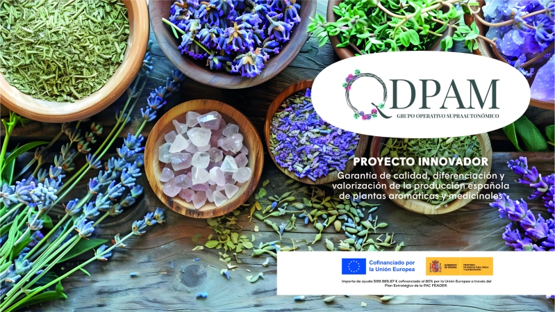 Garantía de calidad, diferenciación y valorización de la producción española de plantas aromáticas y medicinales: Proyecto innovador del Grupo Operativo QDPAM