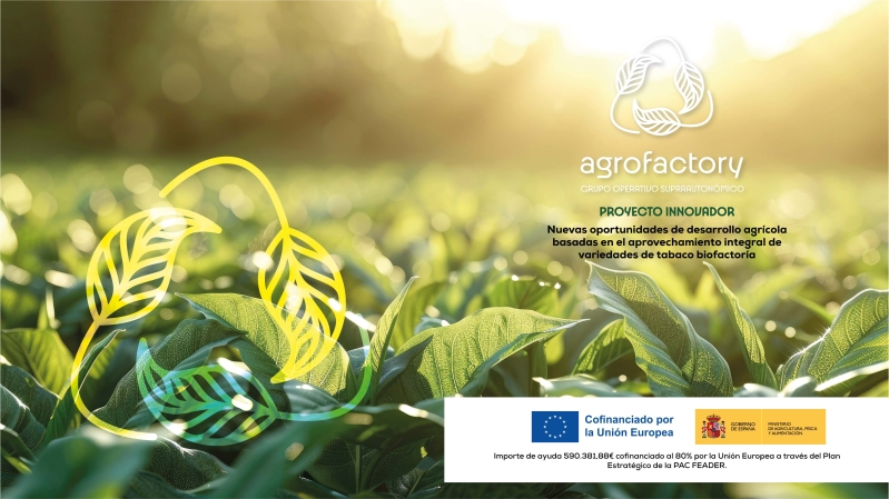 Innovación tecnológica para un cultivo del tabaco más sostenible y competitivo: Proyecto innovador del GO AGROFACTORY