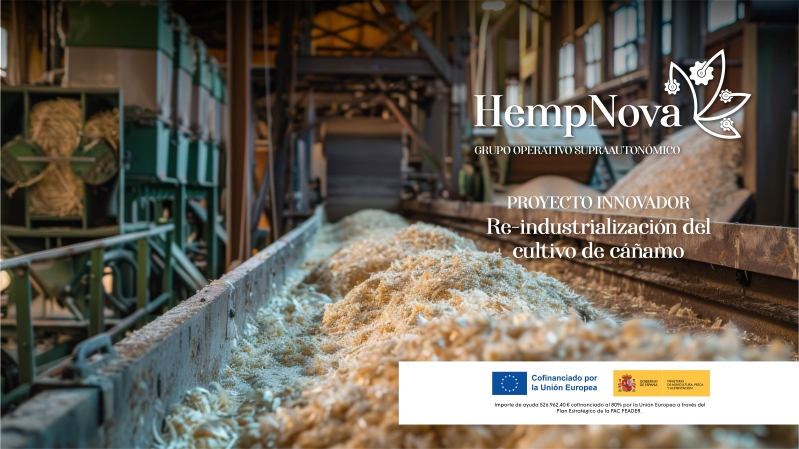 Re-industrialización del cultivo del cáñamo: Proyecto innovador del Grupo Operativo HEMPNOVA