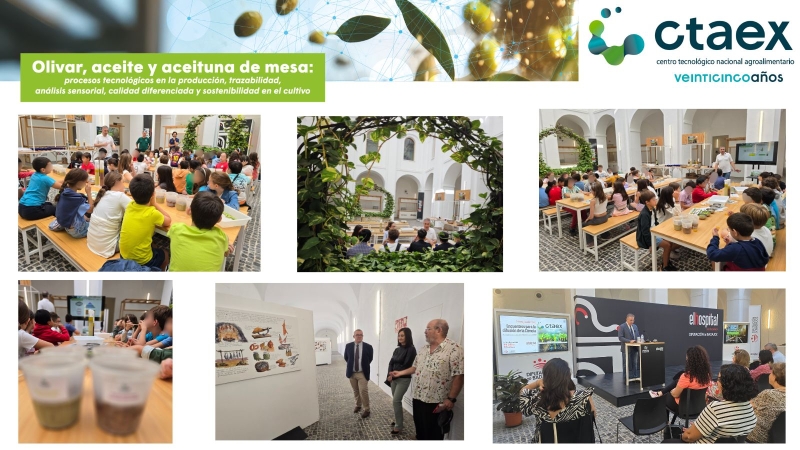 Finalizan con éxito los Encuentros para la Difusión de la Ciencia con la participación de más de 300 escolares