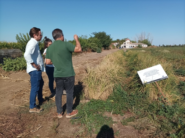 El proyecto RISOS presenta nuevas claves para la sostenibilidad del cultivo del arroz en Extremadura