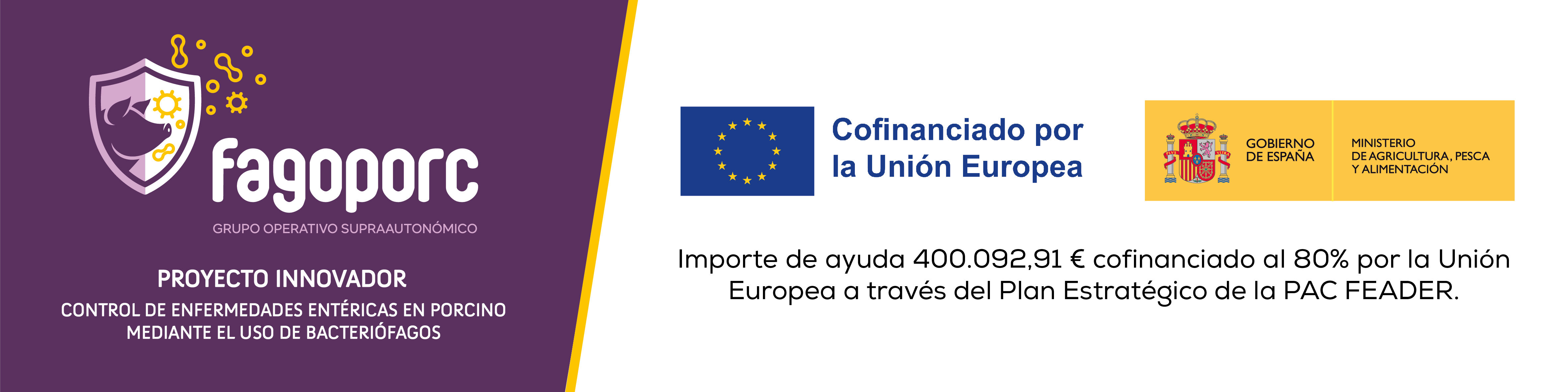 Imagen: FAGOPORC - Proyecto innovador Control de enfermedades entéricas en porcino mediante el uso de fagos