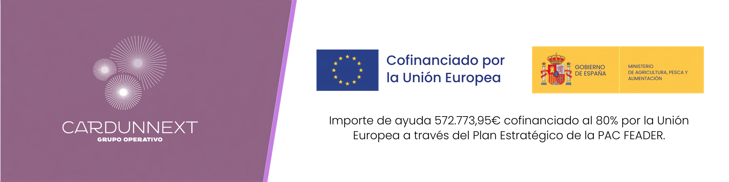 Imagen: CARDUNNEXT - Proyecto innovador Cultivo operativo de Cynara cardunculus L para la valorización de los coagulantes vegetales empleados en la producción de quesos de bajo figuras de calidad