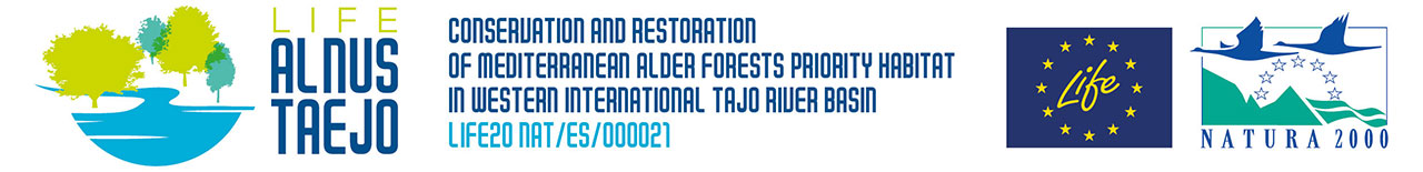 Imagen: LIFE Alnus Taejo - Conservation and restoration of mediterranean alder forests priority habitat in Western International Tajo river basin