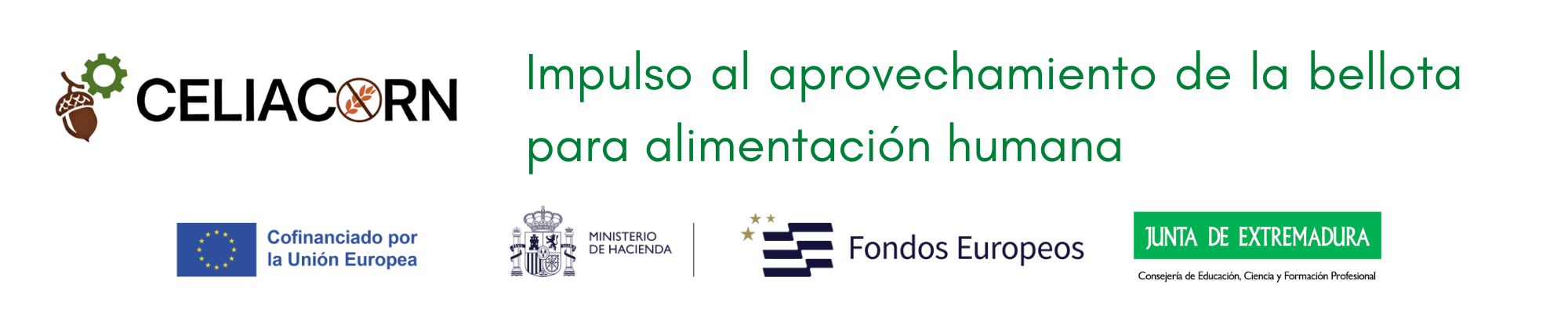 Imagen: CELIACORN- Impulso al aprovechamiento de la bellota para la alimentación humana