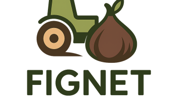 FIGNET