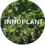 INNOPLANT