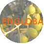 ENGLOBA
