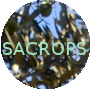 SACROPS
