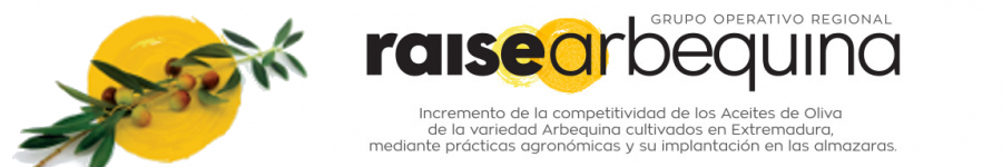 NOTICIAS GOR RAISE ARBEQUINA