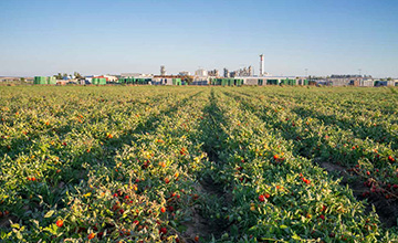 Grupo Operativo Regional - TOMPRINT