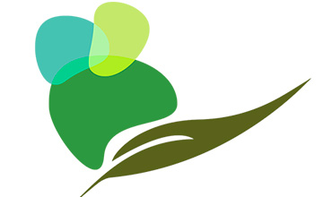 Estudio para la valorización de los productos de las industrias trasformadores del olivar del Geoparque Villuercas, Ibores y Jara