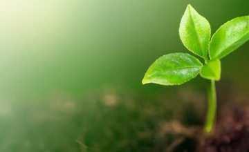 Grupo Operativo Supraautonómico - innoextract