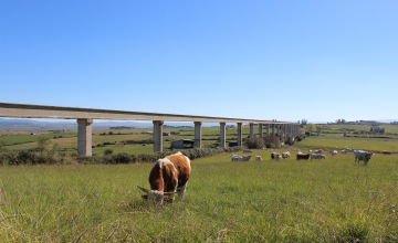 Grupo Operativo Regional - ECOPRADERAS