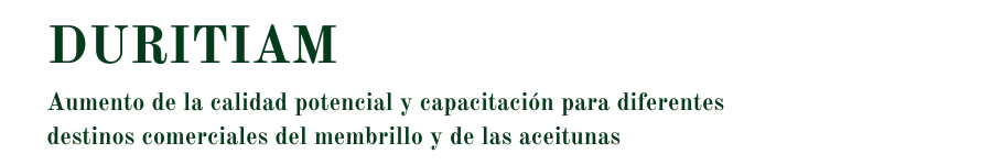 DURITIAM