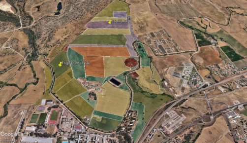 GOS Cereal Agua Resultado 8 F3